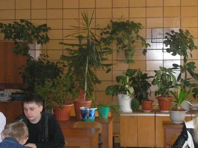Первый курс и общее образование