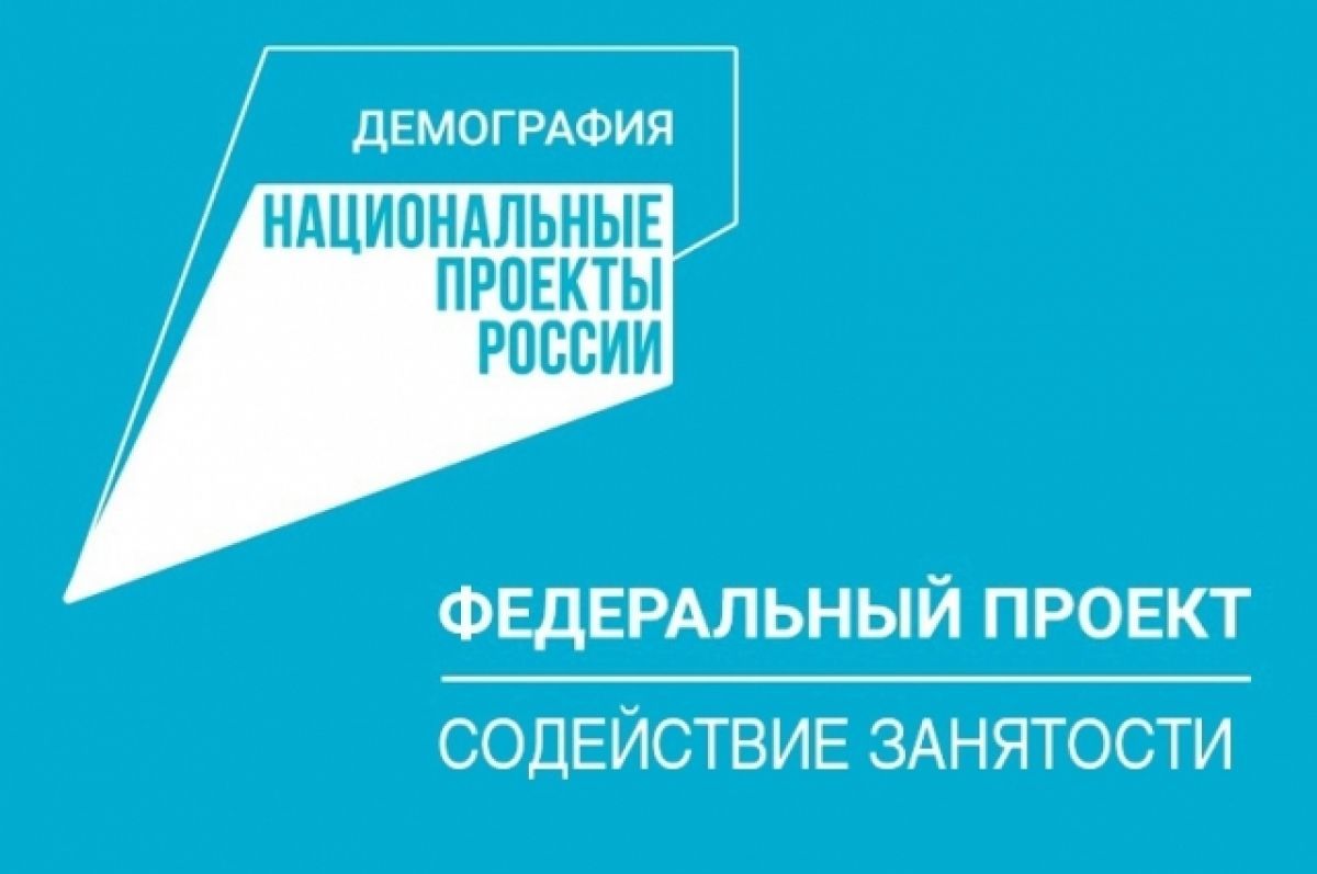 Федеральный проект "Содействие занятости " Национальный проект "Демография".