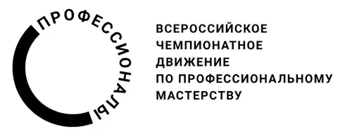 Чемпионатное движение Профессионалы